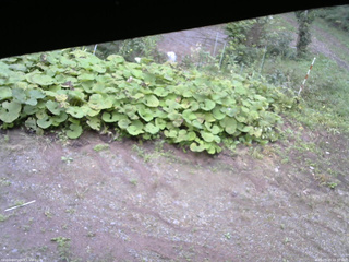 長野県菅平高原 ゆたか山荘 駐車場 2025/09/20 16:30