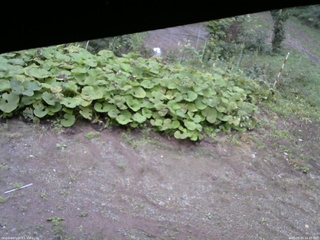 長野県菅平高原 ゆたか山荘 駐車場 2025/09/20 16:45