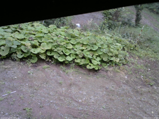 長野県菅平高原 ゆたか山荘 駐車場 2025/09/20 17:00