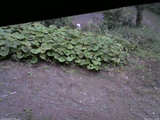 長野県菅平高原 ゆたか山荘 駐車場 2025/09/20 17:30
