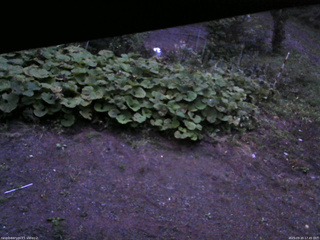 長野県菅平高原 ゆたか山荘 駐車場 2025/09/20 17:45