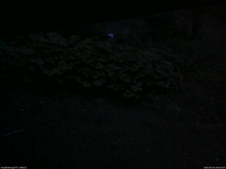 長野県菅平高原 ゆたか山荘 駐車場 2025/09/20 18:00