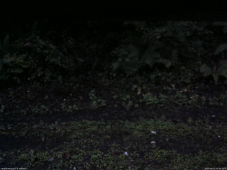 長野県菅平高原 ゆたか山荘 南側 2025/09/21 05:30