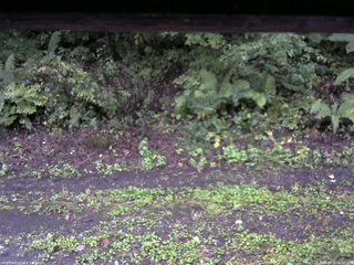 長野県菅平高原 ゆたか山荘 南側 2025/09/21 06:00