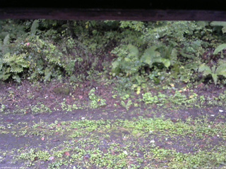 長野県菅平高原 ゆたか山荘 南側 2025/09/21 06:15