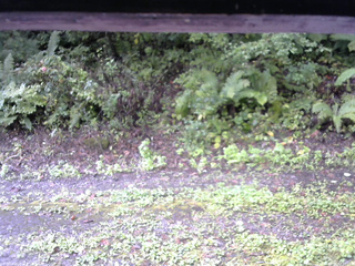 長野県菅平高原 ゆたか山荘 南側 2025/09/21 07:15