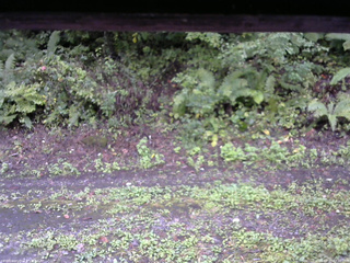 長野県菅平高原 ゆたか山荘 南側 2025/09/21 07:30