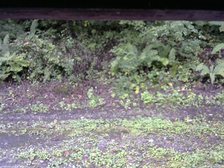 長野県菅平高原 ゆたか山荘 南側 2025/09/21 08:00