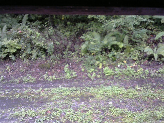 長野県菅平高原 ゆたか山荘 南側 2025/09/21 08:15