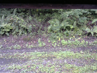 長野県菅平高原 ゆたか山荘 南側 2025/09/21 08:45