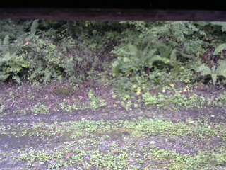 長野県菅平高原 ゆたか山荘 南側 2025/09/21 09:00