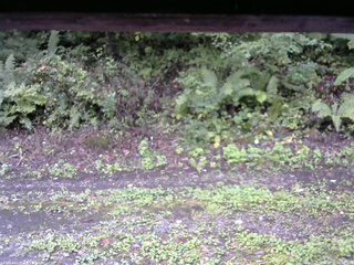 長野県菅平高原 ゆたか山荘 南側 2025/09/21 09:15