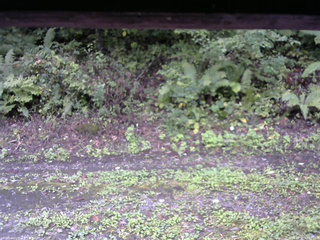 長野県菅平高原 ゆたか山荘 南側 2025/09/21 09:30