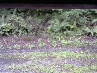 長野県菅平高原 ゆたか山荘 南側 2025/09/21 09:45