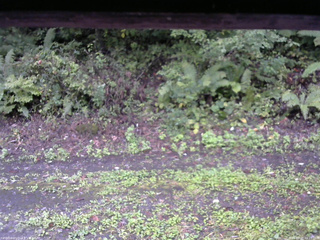 長野県菅平高原 ゆたか山荘 南側 2025/09/21 10:15