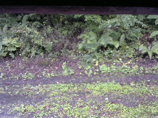 長野県菅平高原 ゆたか山荘 南側 2025/09/21 10:30