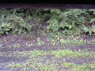 長野県菅平高原 ゆたか山荘 南側 2025/09/21 10:45