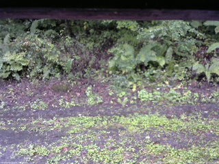 長野県菅平高原 ゆたか山荘 南側 2025/09/21 11:00