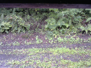 長野県菅平高原 ゆたか山荘 南側 2025/09/21 11:15