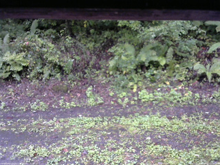 長野県菅平高原 ゆたか山荘 南側 2025/09/21 12:00