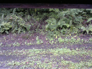 長野県菅平高原 ゆたか山荘 南側 2025/09/21 12:15