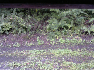 長野県菅平高原 ゆたか山荘 南側 2025/09/21 12:30