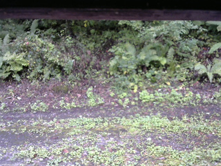 長野県菅平高原 ゆたか山荘 南側 2025/09/21 13:15