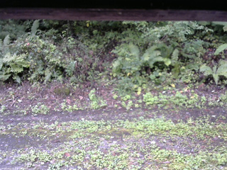 長野県菅平高原 ゆたか山荘 南側 2025/09/21 14:15