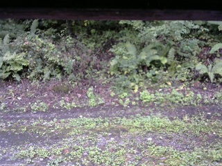 長野県菅平高原 ゆたか山荘 南側 2025/09/21 14:30