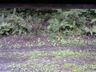 長野県菅平高原 ゆたか山荘 南側 2025/09/21 14:45