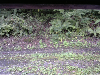 長野県菅平高原 ゆたか山荘 南側 2025/09/21 16:00