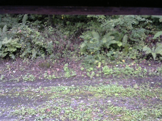 長野県菅平高原 ゆたか山荘 南側 2025/09/21 16:15