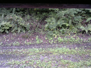 長野県菅平高原 ゆたか山荘 南側 2025/09/21 16:30