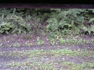 長野県菅平高原 ゆたか山荘 南側 2025/09/21 16:45