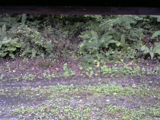 長野県菅平高原 ゆたか山荘 南側 2025/09/21 17:30