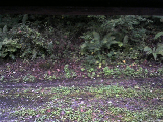 長野県菅平高原 ゆたか山荘 南側 2025/09/21 17:45