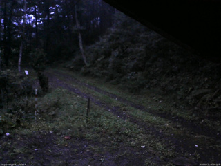 長野県菅平高原 ゆたか山荘 東側(坂下) 2025/09/21 05:30