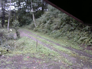長野県菅平高原 ゆたか山荘 東側(坂下) 2025/09/21 07:45