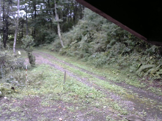長野県菅平高原 ゆたか山荘 東側(坂下) 2025/09/21 09:30