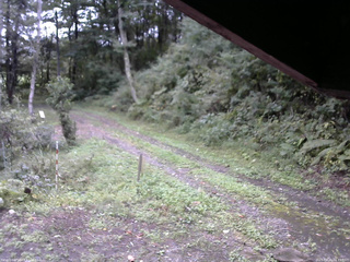 長野県菅平高原 ゆたか山荘 東側(坂下) 2025/09/21 09:45