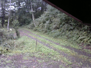 長野県菅平高原 ゆたか山荘 東側(坂下) 2025/09/21 10:15
