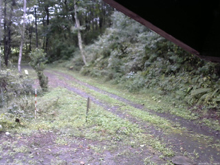 長野県菅平高原 ゆたか山荘 東側(坂下) 2025/09/21 11:15