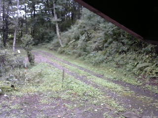 長野県菅平高原 ゆたか山荘 東側(坂下) 2025/09/21 12:15