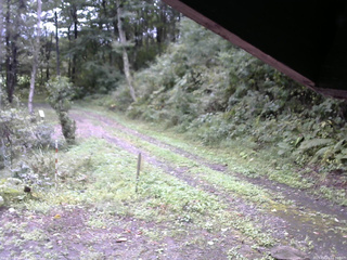 長野県菅平高原 ゆたか山荘 東側(坂下) 2025/09/21 13:00