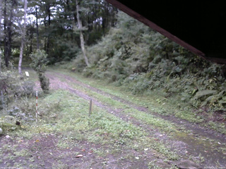 長野県菅平高原 ゆたか山荘 東側(坂下) 2025/09/21 15:00