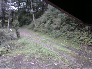 長野県菅平高原 ゆたか山荘 東側(坂下) 2025/09/21 17:15