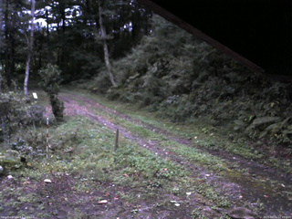 長野県菅平高原 ゆたか山荘 東側(坂下) 2025/09/21 17:45