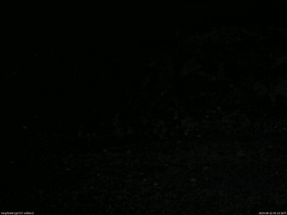 長野県菅平高原 ゆたか山荘 南側 2025/09/22 05:15