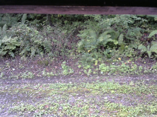 長野県菅平高原 ゆたか山荘 南側 2025/09/22 08:30