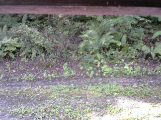 長野県菅平高原 ゆたか山荘 南側 2025/09/22 09:15